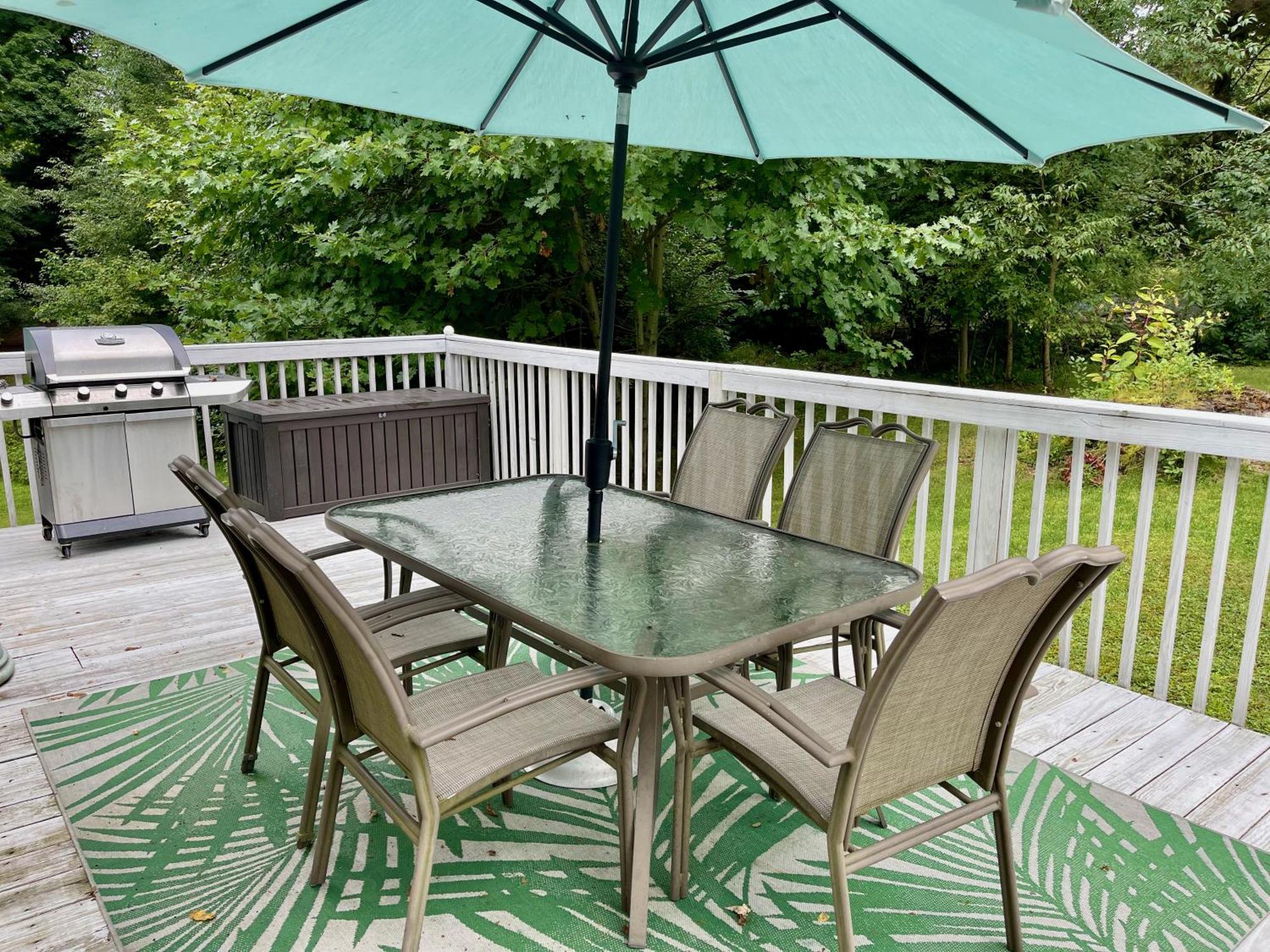 The Vision: Waterfront Retreat/2-3 Homes/upto30guests/reunions/retreats Cambridge Springs